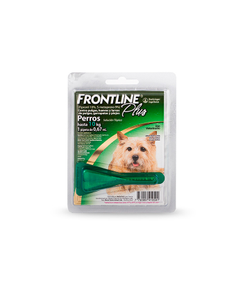 FRONTLINE PLUS CHICO (2-10 KG)