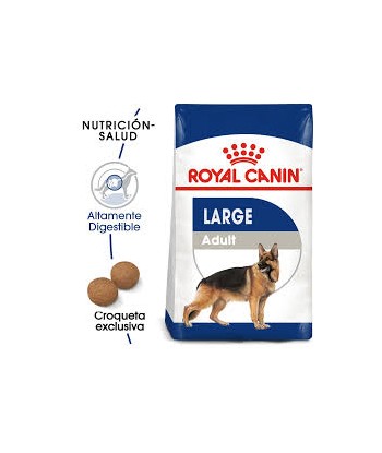 LARGE GRAND ADULT DOG ROYAL...