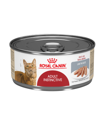 LATA ADULT INSTINCTIVE...