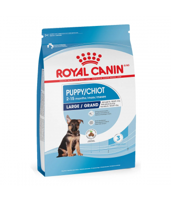 PUPPY CHIOT LARGE ROYAL...