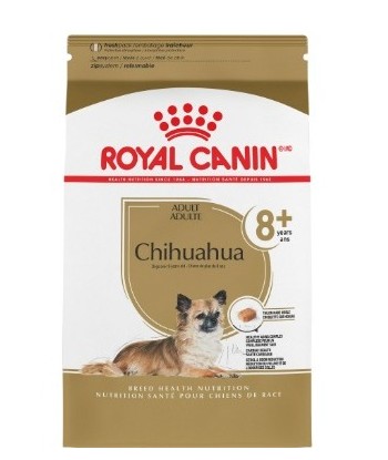 CHIHUAHUA ADULT 8+