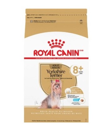 Yorkshire Terrier 8+