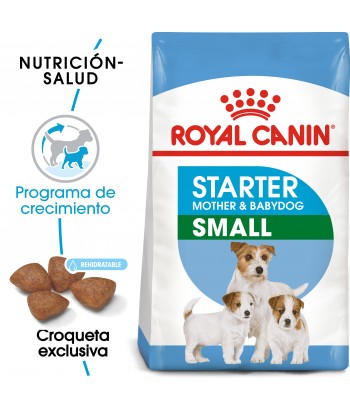 MINI STARTER DOG ROYAL...