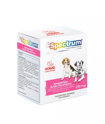 SPECTRUM AMOXICILINA+AC...