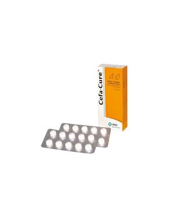 CEFA-CURE TABLETAS (200 MG)