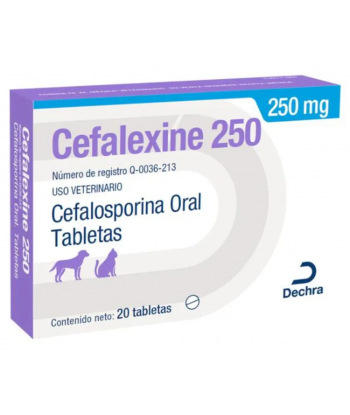 CEFALEXINE 250 MG (20 TAB)